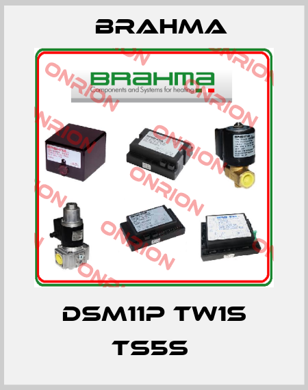 DSM11P TW1s TS5s  Brahma