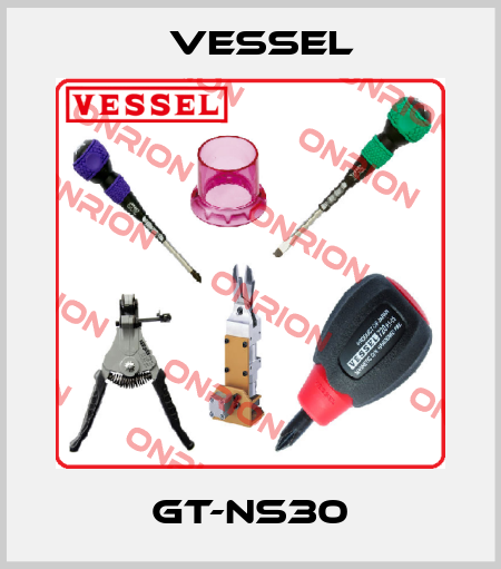 GT-NS30 VESSEL
