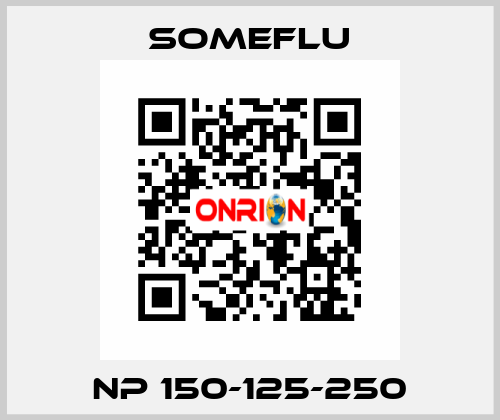 NP 150-125-250 SOMEFLU