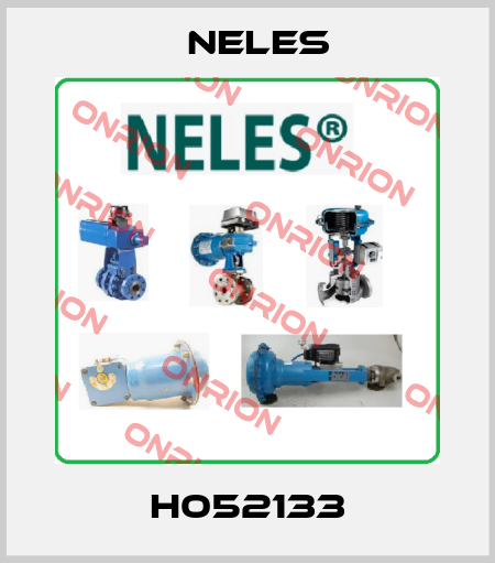 H052133 Neles