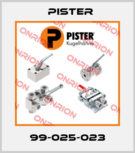 99-025-023 Pister