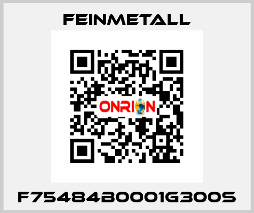 F75484B0001G300S FEINMETALL