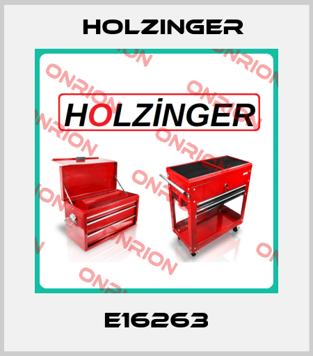 E16263 holzinger
