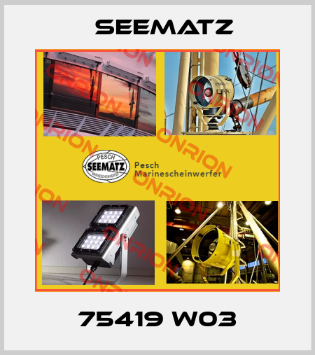 75419 W03 Seematz