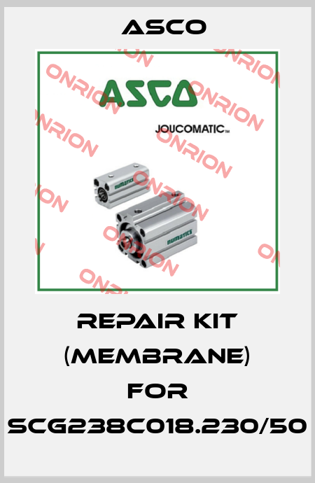 repair kit (membrane) for SCG238C018.230/50 Asco