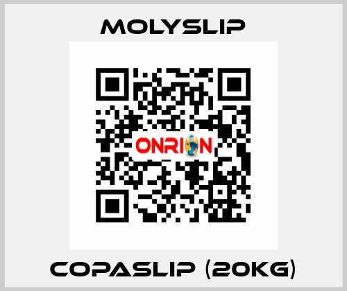 Copaslip (20kg) Molyslip