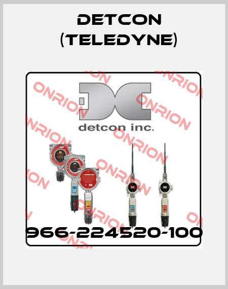 966-224520-100 Detcon (Teledyne)