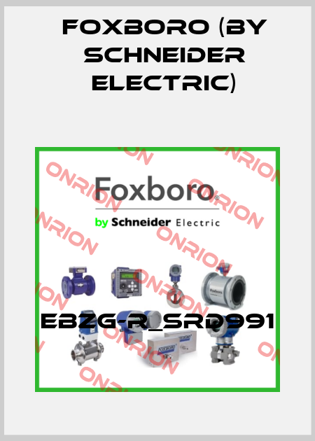 EBZG-R_SRD991 Foxboro (by Schneider Electric)