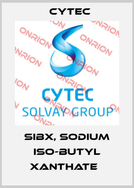 SIBX, SODIUM ISO-BUTYL XANTHATE   Cytec