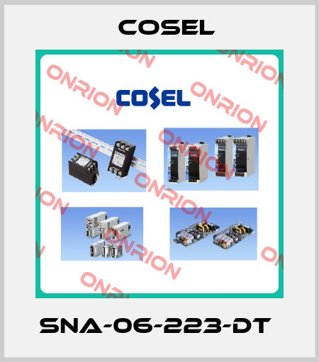 SNA-06-223-DT  Cosel