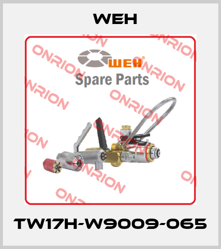 TW17H-W9009-065 Weh