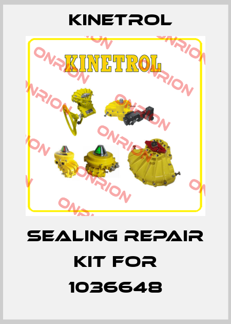 sealing repair kit for 1036648 Kinetrol