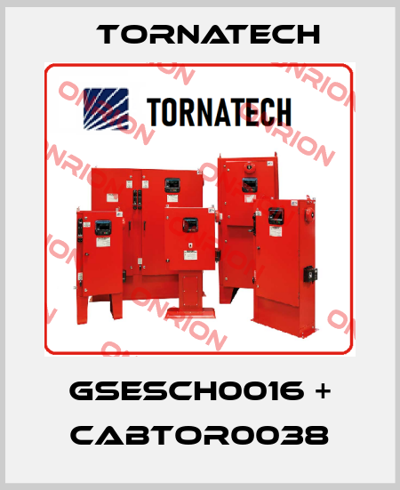 GSESCH0016 + CABTOR0038 TornaTech