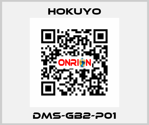 DMS-GB2-P01 Hokuyo