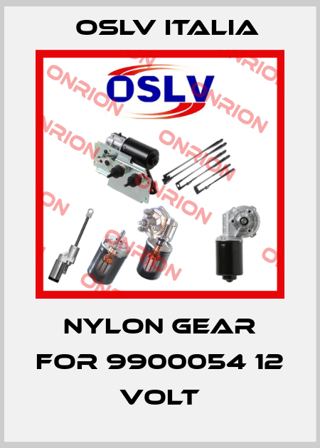 nylon gear for 9900054 12 volt OSLV Italia