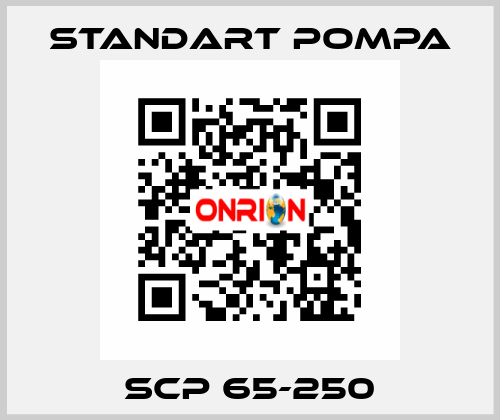 SCP 65-250 STANDART POMPA