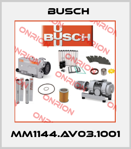 MM1144.AV03.1001 Busch