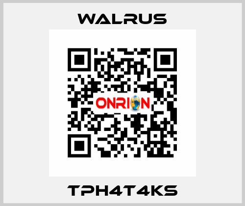 TPH4T4KS Walrus