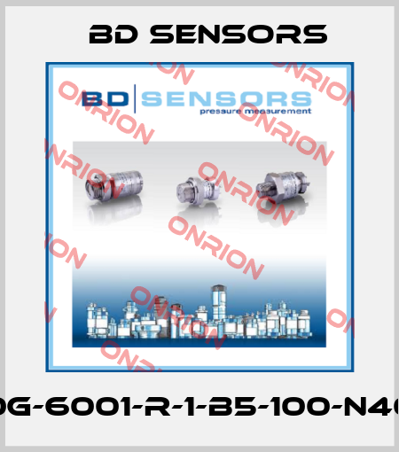 17.600G-6001-R-1-B5-100-N40-000 Bd Sensors