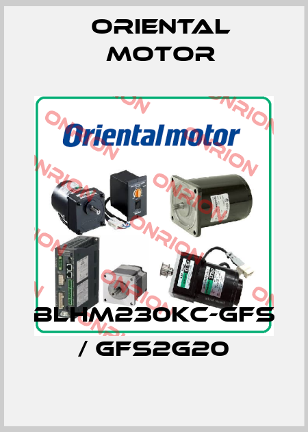 BLHM230KC-GFS / GFS2G20 Oriental Motor