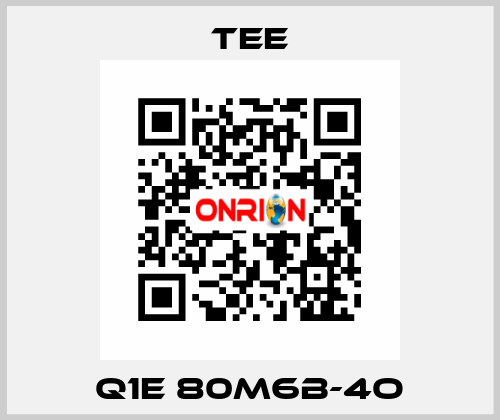 Q1E 80M6B-4O TEE