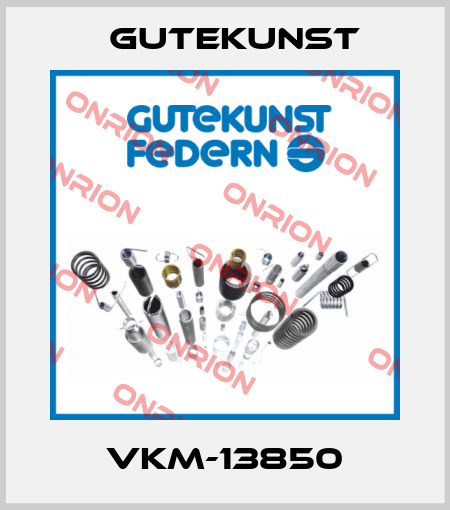 VKM-13850 Gutekunst