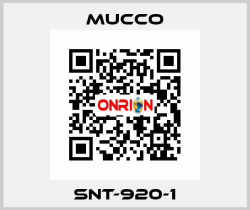 SNT-920-1 mucco