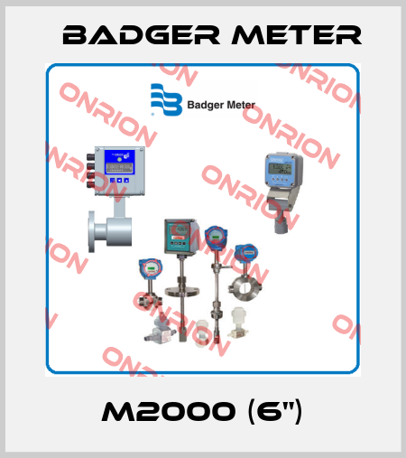 M2000 (6") Badger Meter