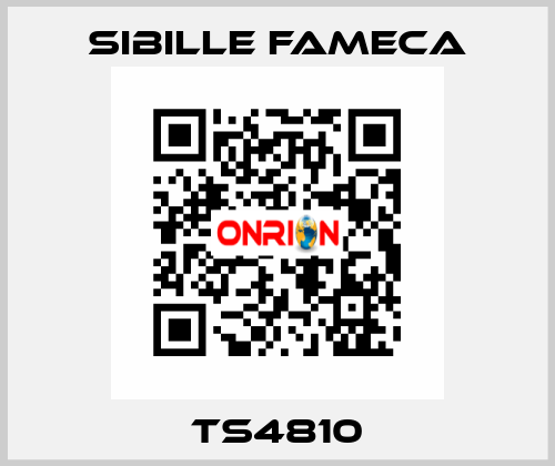 TS4810 Sibille Fameca