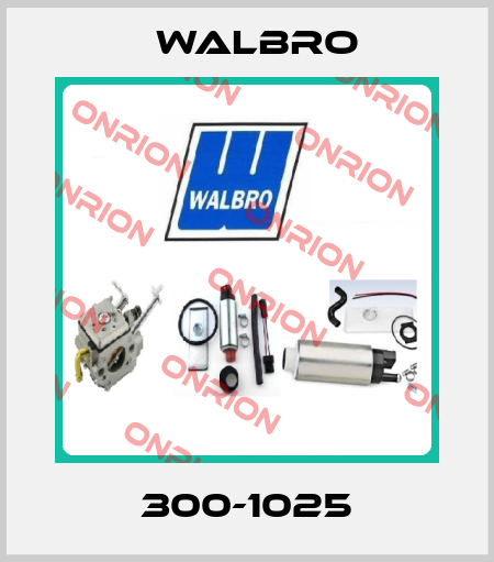 300-1025 Walbro