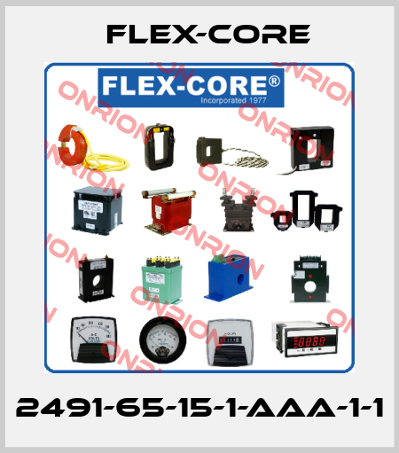 2491-65-15-1-AAA-1-1 Flex-Core