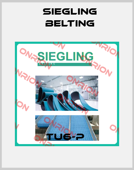 TU6-P  Siegling Belting