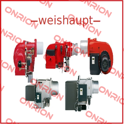 WF 3065/1 DN65 Weishaupt