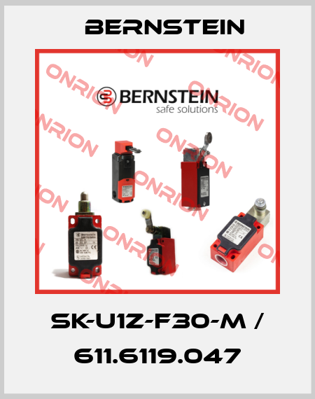 SK-U1Z-F30-M / 611.6119.047 Bernstein