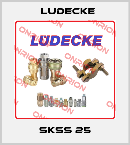 SKSS 25 Ludecke