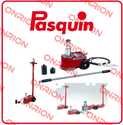 P0060 Pasquin