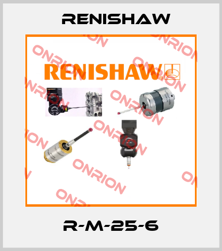 R-M-25-6 Renishaw