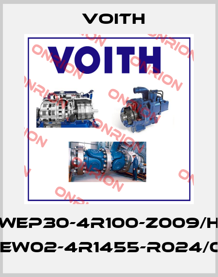 WEP30-4R100-Z009/H Wew02-4R1455-R024/0H Voith