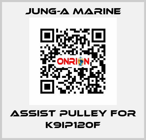 assist pulley for K9IP120F JUNG-A MARINE