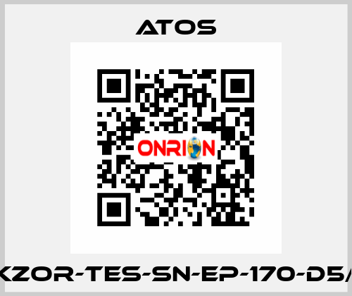 DKZOR-TES-SN-EP-170-D5/FI Atos