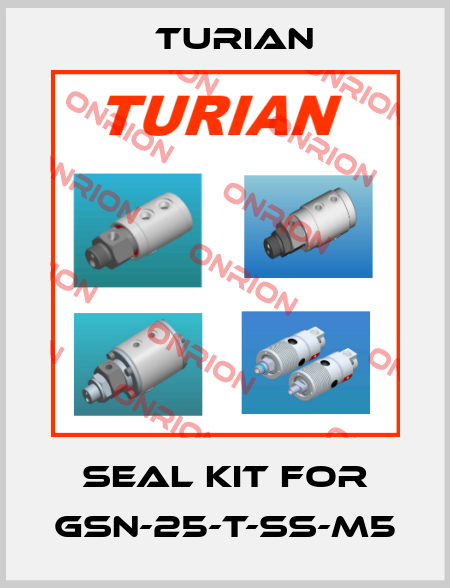 Seal kit for GSN-25-T-SS-M5 Turian