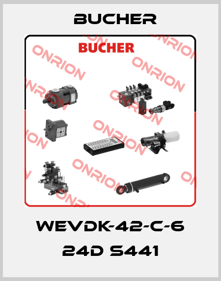WEVDK-42-C-6 24D S441 Bucher