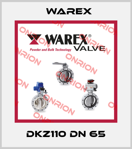 DKZ110 DN 65 Warex