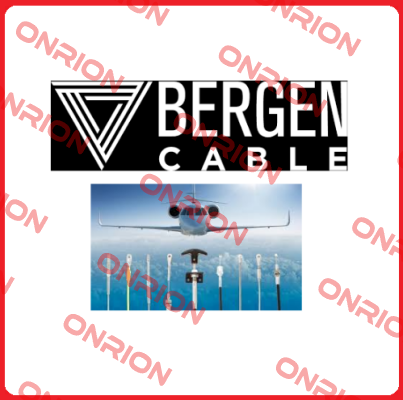 45-6N Bergen Cable Technology Llc