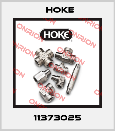 11373025 Hoke