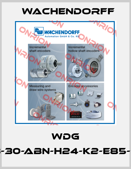 WDG 50B-30-ABN-H24-K2-E85-050 Wachendorff