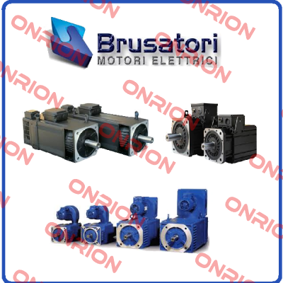 V981041FN500C001 OEM Brusatori