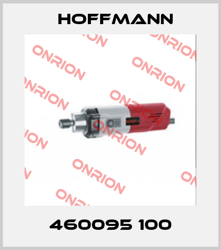 460095 100 Hoffmann