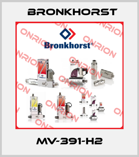 MV-391-H2 Bronkhorst