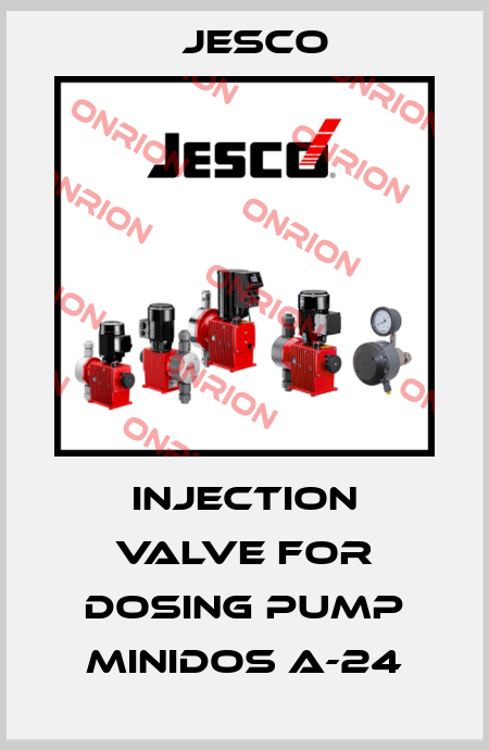 Injection valve for dosing pump Minidos A-24 Jesco